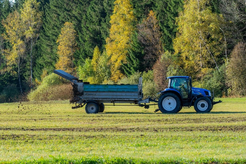 Fantasy Fertilizing Methods